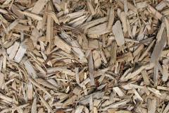 biomass boilers Sessay